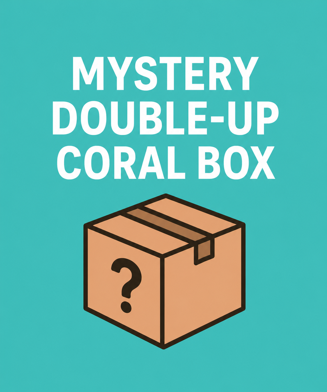 Mystery Double Up Coral Box