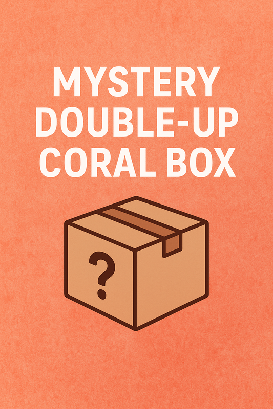 Mystery Double Up Coral Box
